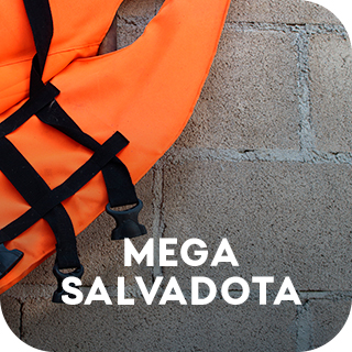 mega-salvadota